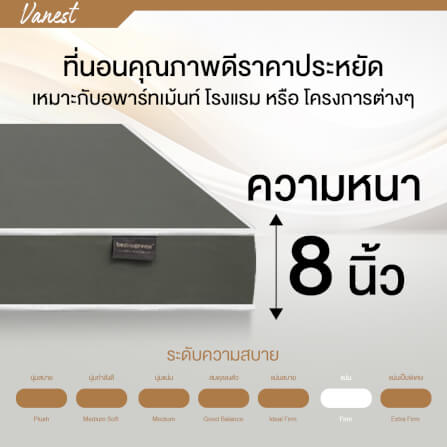 ที่นอนยางPE 3.5 ฟุต BEDIUPREME หุ้มหนังPVC สีเทา รุ่น VANEST หนา 8 นิ้ว_6