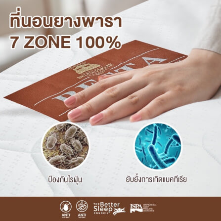 ที่นอน 5 ฟุต BEDISUPREME รุ่น RESTA หนา 6.5 นิ้ว หุ้มผ้าแจ๊คการ์ด_7