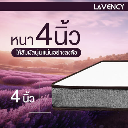 ที่นอน 3 พับ 3.5ฟุต BEDISUPREME รุ่น LAVENCY_6