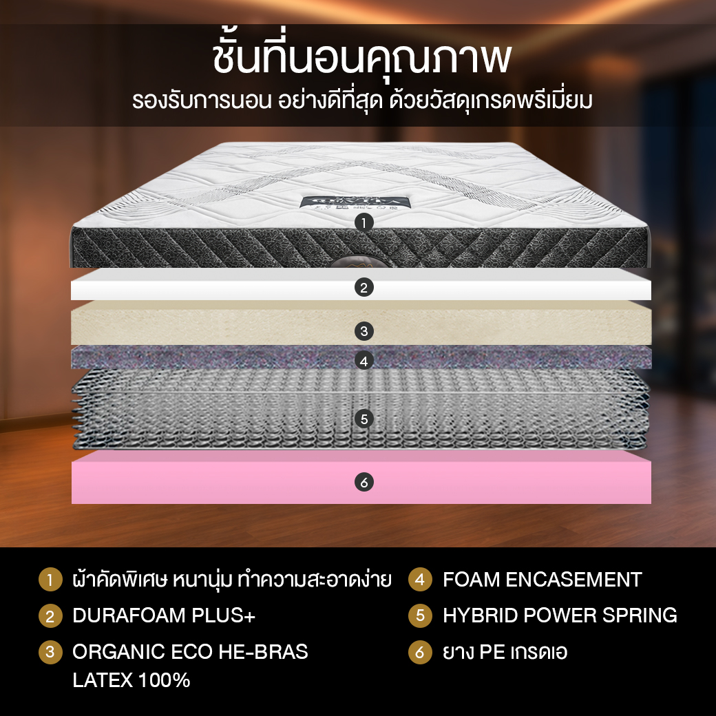 ที่นอน 6 ฟุต BEDISUPREME รุ่น REVITA_2