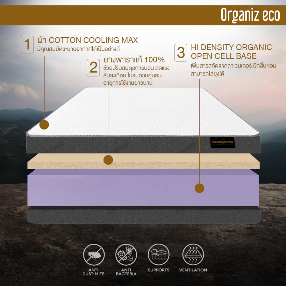 ที่นอน 3.5 ฟุต BEDISUPREME รุ่น ORGANIZ ECO หนา 5 นิ้ว
