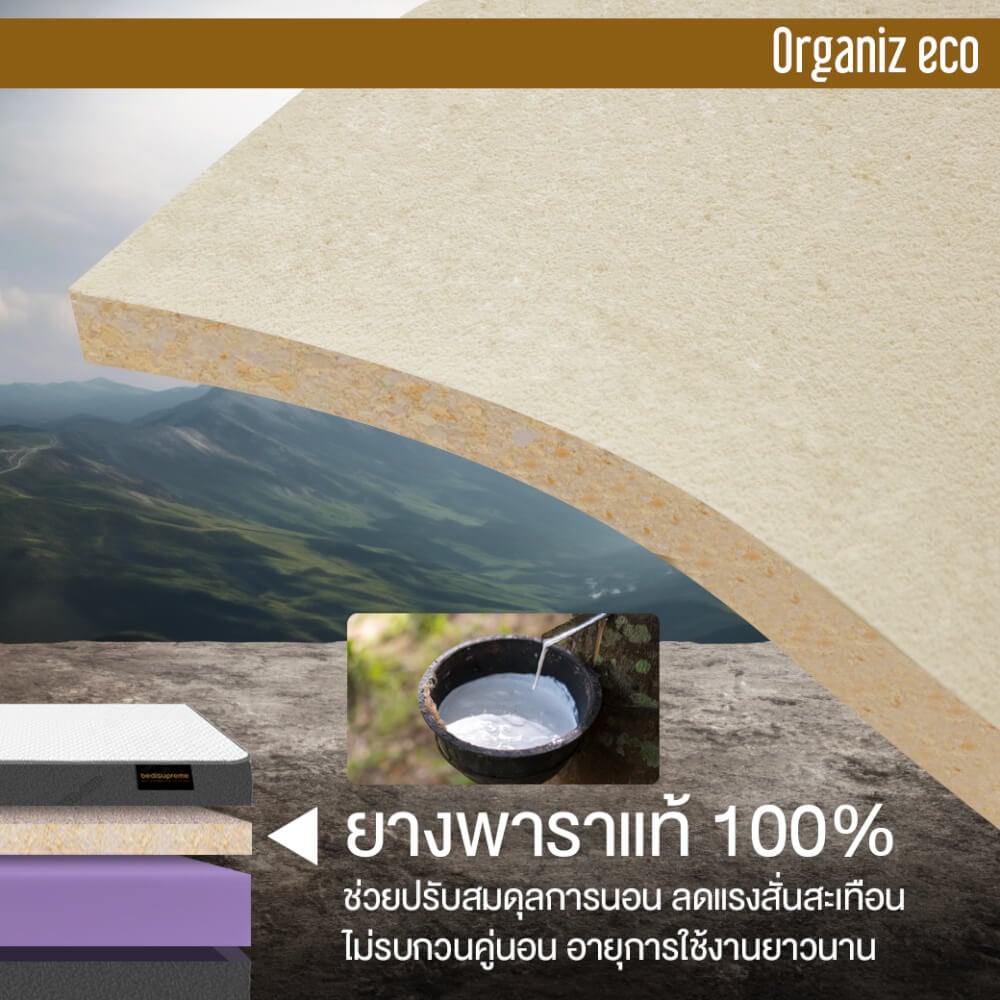 ที่นอน 3.5 ฟุต BEDISUPREME รุ่น ORGANIZ ECO หนา 5 นิ้ว