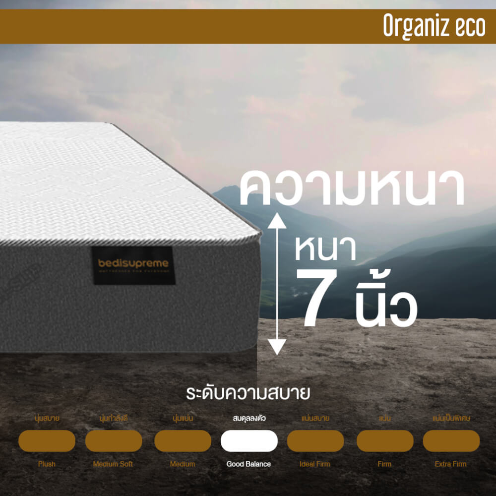ที่นอน 6 ฟุต BEDISUPREME รุ่น ORGANIZ ECO หนา 7 นิ้ว