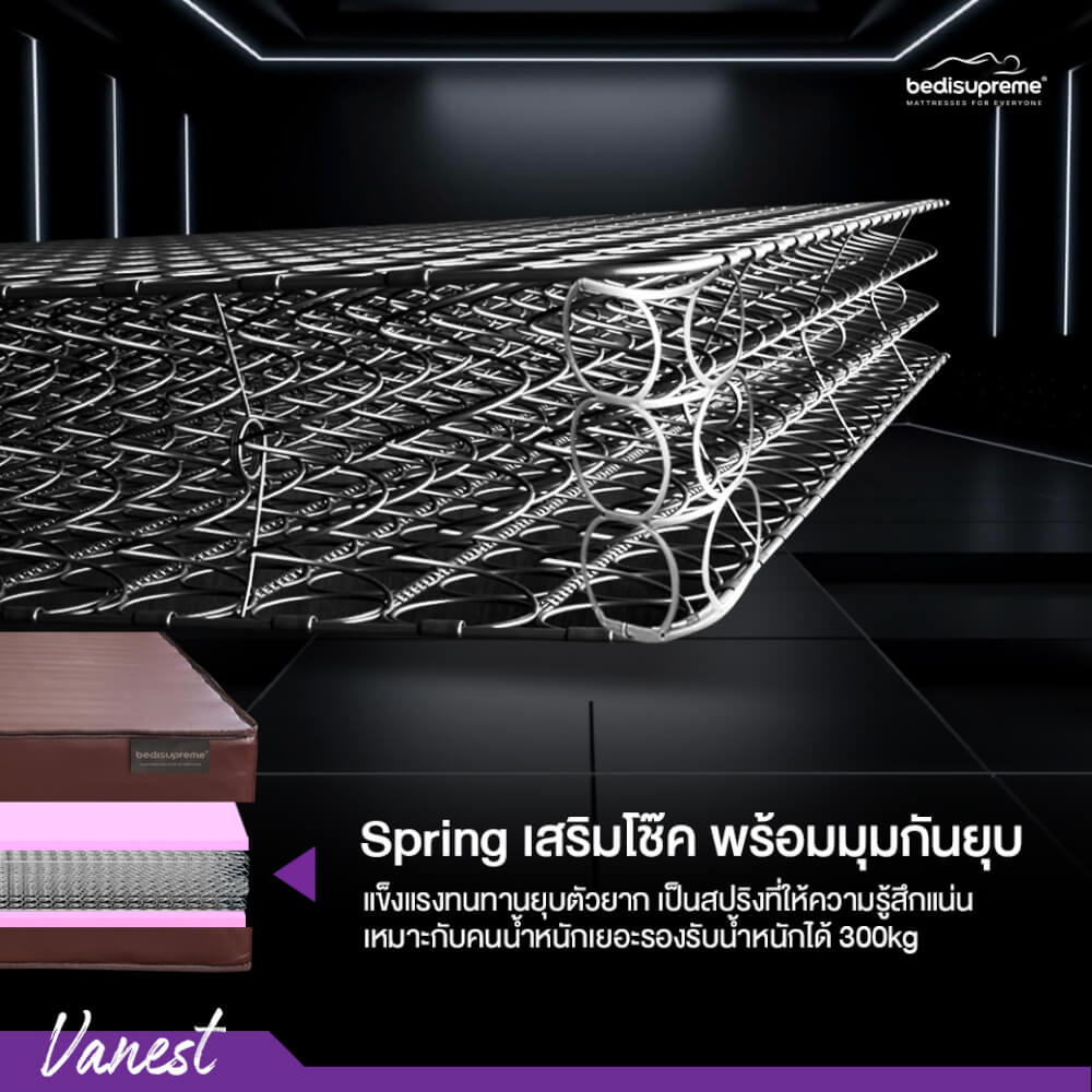 ที่นอน 6 ฟุต BEDISUPREME รุ่น Vanest หนา 9 นิ้ว