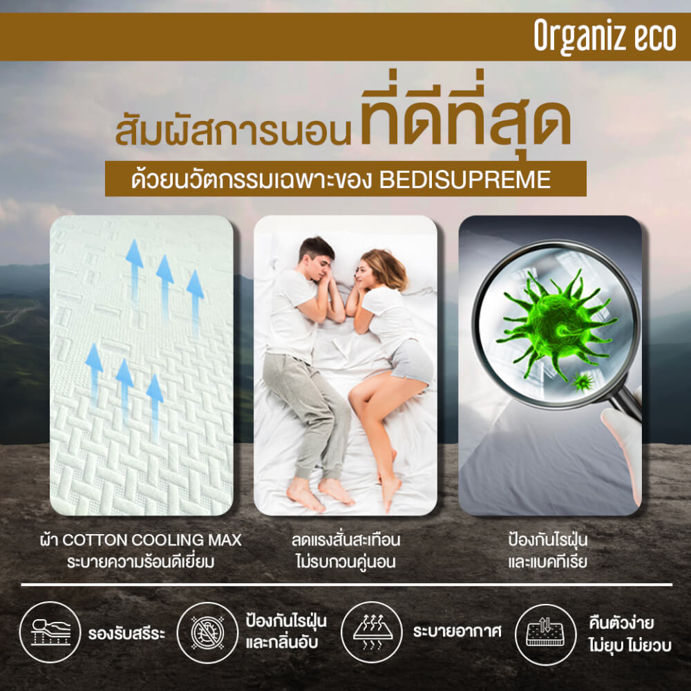 ที่นอน 3.5 ฟุต BEDISUPREME รุ่น ORGANIZ ECO หนา 5 นิ้ว