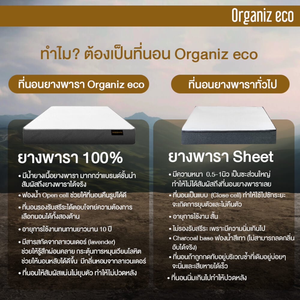 ที่นอน 3.5 ฟุต BEDISUPREME รุ่น ORGANIZ ECO หนา 5 นิ้ว