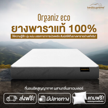 ที่นอน 3.5 ฟุต BEDISUPREME รุ่น ORGANIZ ECO หนา 5 นิ้ว_1