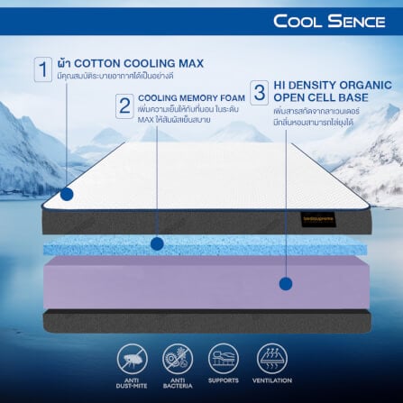 ที่นอน 5 ฟุต BEDISUPREME รุ่น Coolsence หนา 6.5 นิ้ว_2