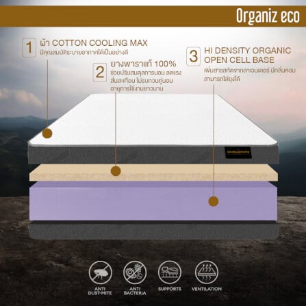 ที่นอน 3.5 ฟุต BEDISUPREME รุ่น ORGANIZ ECO หนา 5 นิ้ว_2