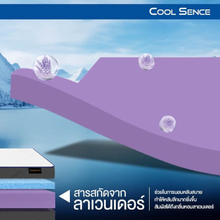 ที่นอน 5 ฟุต BEDISUPREME รุ่น Coolsence หนา 6.5 นิ้ว_3