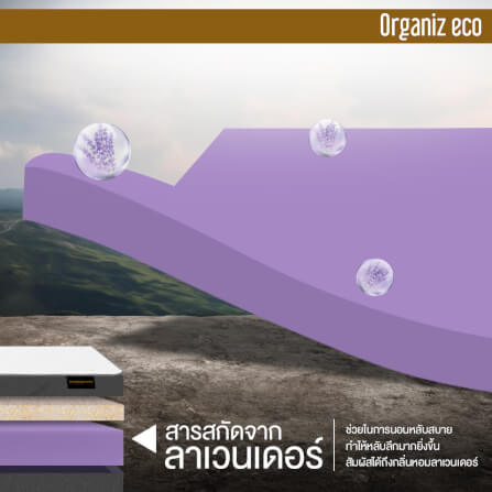 ที่นอน 3.5 ฟุต BEDISUPREME รุ่น ORGANIZ ECO หนา 5 นิ้ว_3
