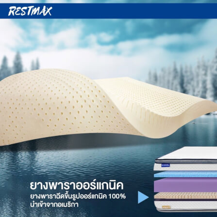  ที่นอน 3.5 ฟุต BEDISUPREME รุ่น RESTMAX หนา 11 นิ้ว_3
