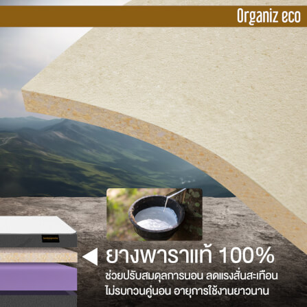 ที่นอน 3.5 ฟุต BEDISUPREME รุ่น ORGANIZ ECO หนา 5 นิ้ว_4