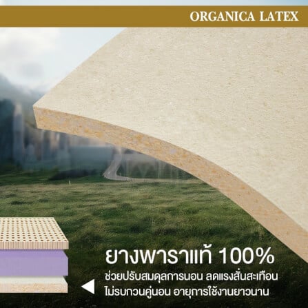 ที่นอน 3.5 ฟุต BEDISUPREME รุ่น ORGANICA LATEX หนา 8 นิ้ว_5
