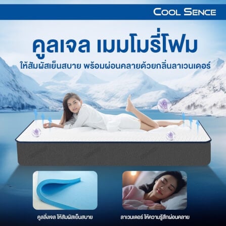 ที่นอน 5 ฟุต BEDISUPREME รุ่น Coolsence หนา 6.5 นิ้ว_5