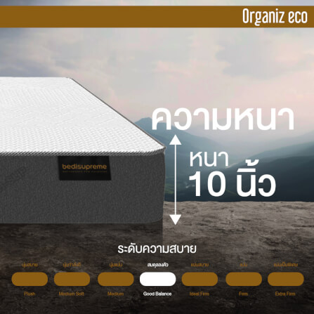 ที่นอน 6 ฟุต BEDISUPREME รุ่น ORGANIZ ECO หนา 10 นิ้ว_5