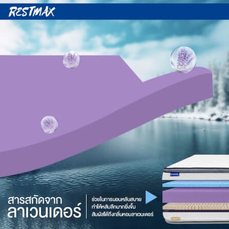  ที่นอน 3.5 ฟุต BEDISUPREME รุ่น RESTMAX หนา 11 นิ้ว_5