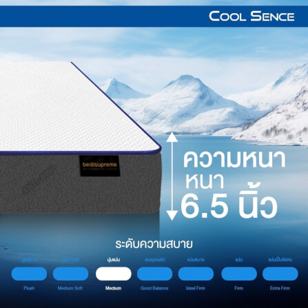 ที่นอน 5 ฟุต BEDISUPREME รุ่น Coolsence หนา 6.5 นิ้ว_6