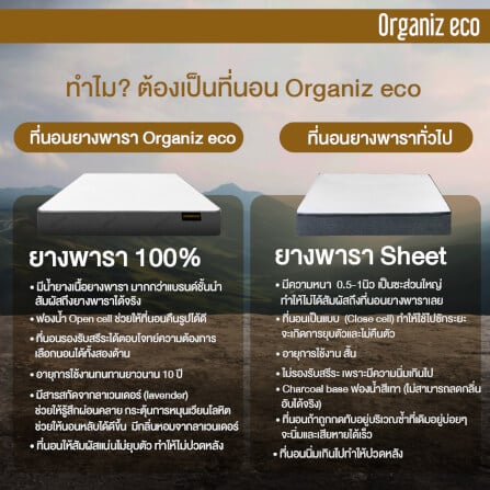 ที่นอน 3.5 ฟุต BEDISUPREME รุ่น ORGANIZ ECO หนา 5 นิ้ว_8