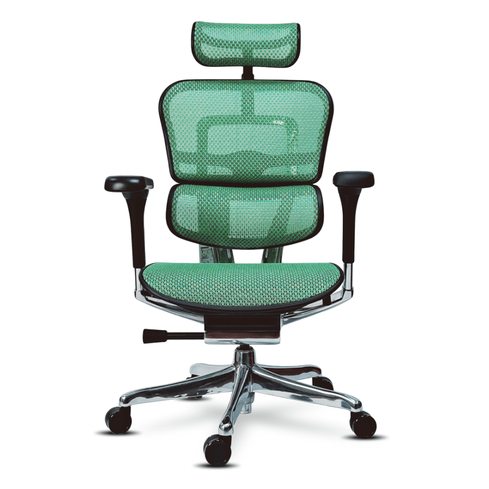 เก้าอี้เพื่อสุขภาพ DF PROCHAIR รุ่น Ergo Elite Pro สีเขียว