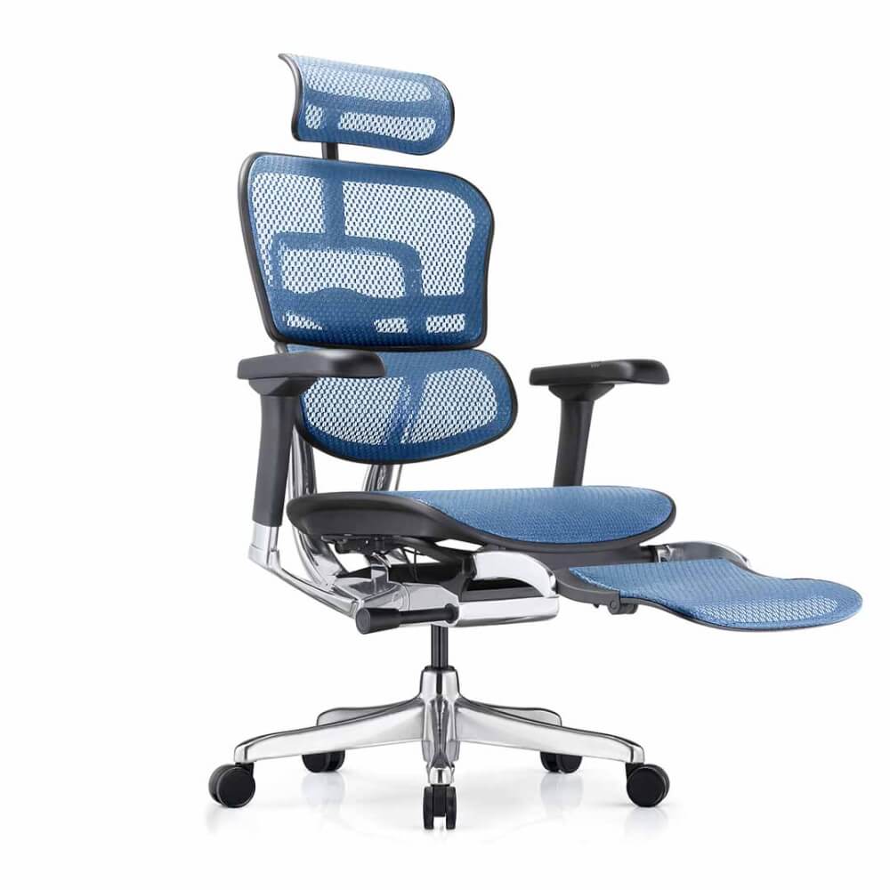 เก้าอี้เพื่อสุขภาพ DF PROCHAIR รุ่น Ergo Elite Pro+ สีน้ำเงิน