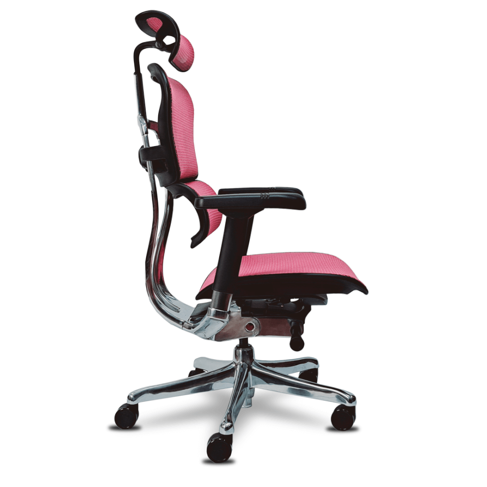 เก้าอี้เพื่อสุขภาพ DF PROCHAIR รุ่น Ergo Elite Pro สีชมพู