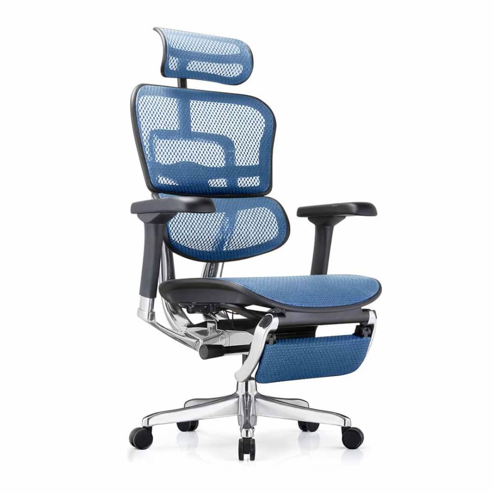 เก้าอี้เพื่อสุขภาพ DF PROCHAIR รุ่น Ergo Elite Pro+ สีน้ำเงิน