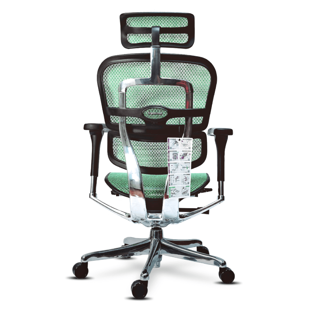 เก้าอี้เพื่อสุขภาพ DF PROCHAIR รุ่น Ergo Elite Pro สีเขียว