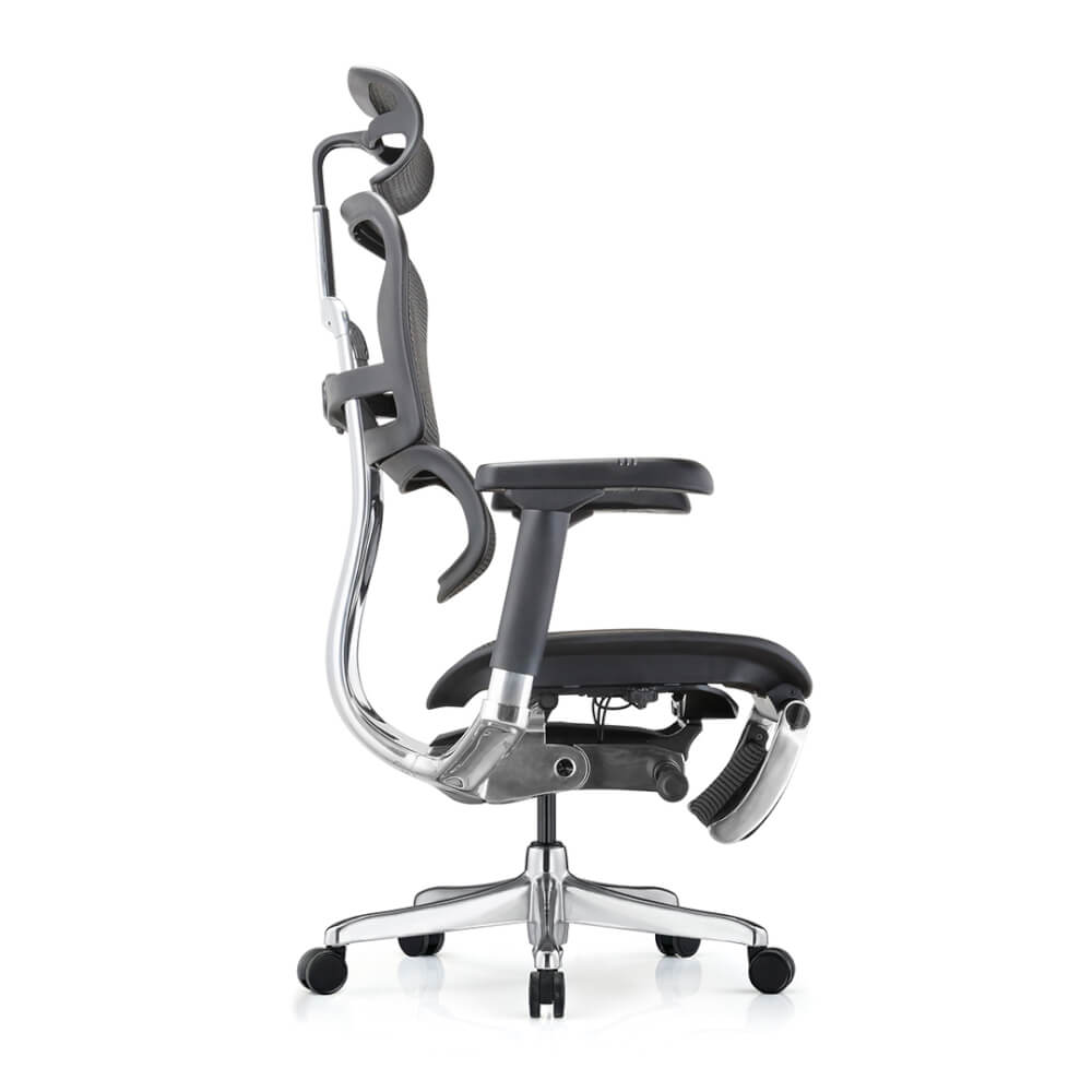 เก้าอี้เพื่อสุขภาพ DF PROCHAIR รุ่น Ergo Elite Pro+ สีดำ
