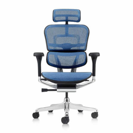 เก้าอี้เพื่อสุขภาพ DF PROCHAIR รุ่น Ergo Elite Pro สีน้ำเงิน_0