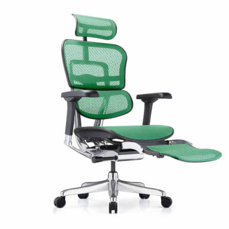 เก้าอี้เพื่อสุขภาพ DF PROCHAIR รุ่น Ergo Elite Pro+ สีเขียว_0
