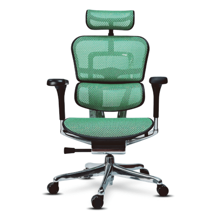 เก้าอี้เพื่อสุขภาพ DF PROCHAIR รุ่น Ergo Elite Pro สีเขียว_1