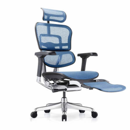 เก้าอี้เพื่อสุขภาพ DF PROCHAIR รุ่น Ergo Elite Pro+ สีน้ำเงิน_1