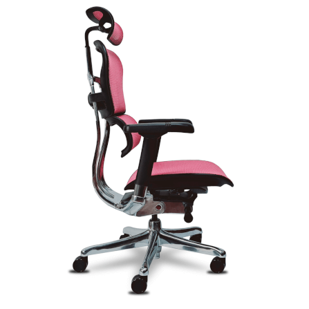 เก้าอี้เพื่อสุขภาพ DF PROCHAIR รุ่น Ergo Elite Pro สีชมพู_2