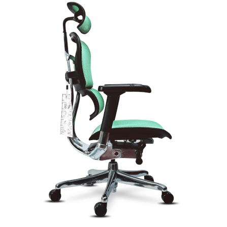 เก้าอี้เพื่อสุขภาพ DF PROCHAIR รุ่น Ergo Elite Pro สีเขียว_2