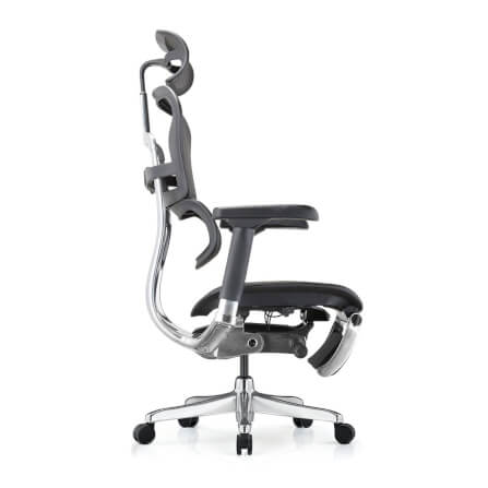 เก้าอี้เพื่อสุขภาพ DF PROCHAIR รุ่น Ergo Elite Pro+ สีดำ_3