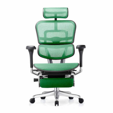 เก้าอี้เพื่อสุขภาพ DF PROCHAIR รุ่น Ergo Elite Pro+ สีเขียว_3