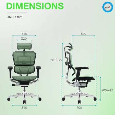 เก้าอี้เพื่อสุขภาพ DF PROCHAIR รุ่น Ergo Elite Pro สีน้ำเงิน_9