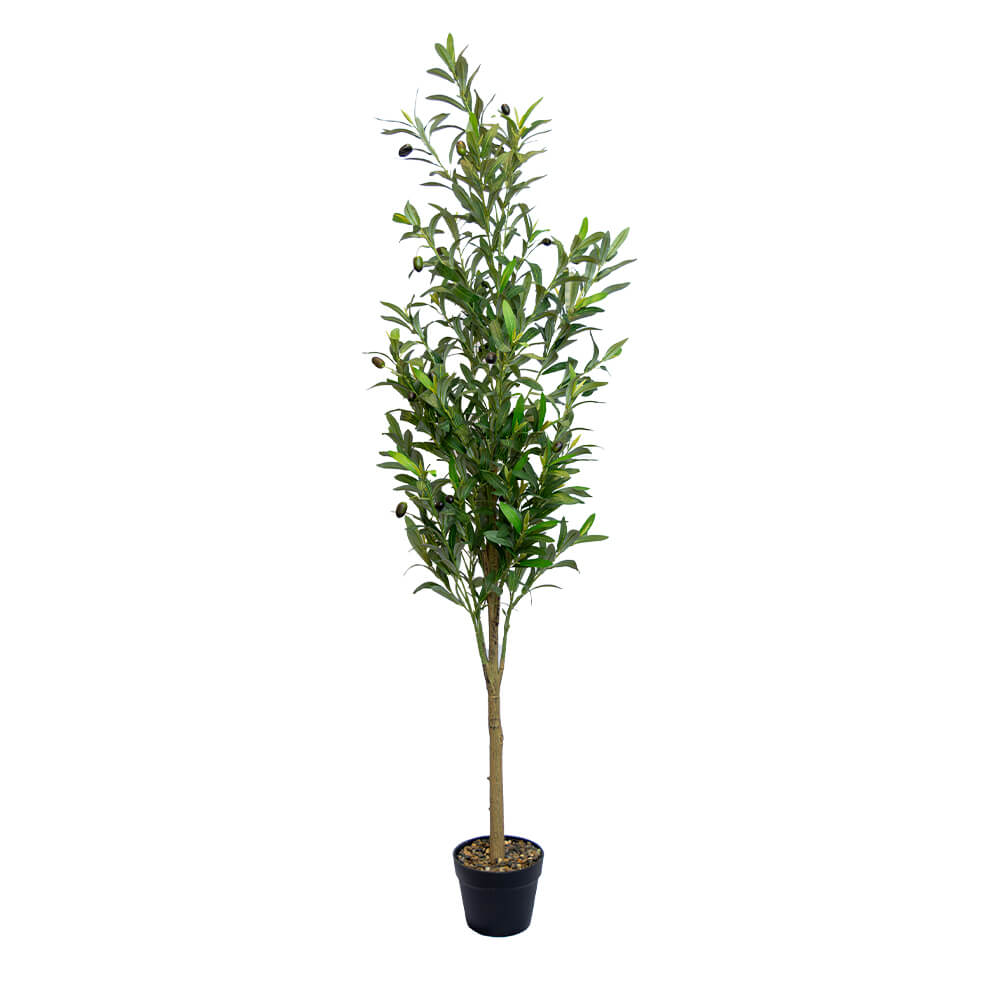 ต้นไม้ประดิษฐ์ในกระถาง CHIC REPUBLIC รุ่น OLIVE TREE/150 สีเขียว