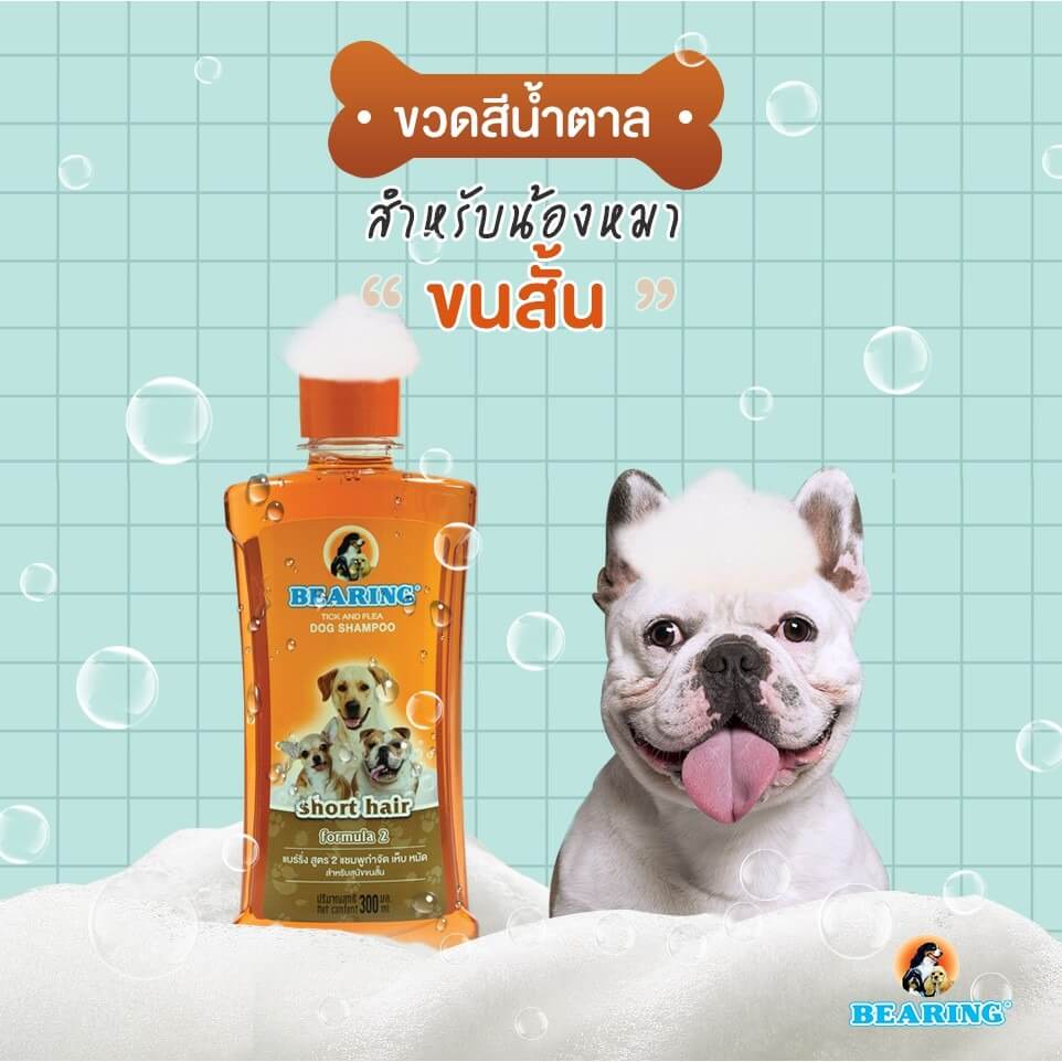 แชมพูกำจัดเห็บหมัดสำหรับสุนัข BEARING สูตร TICK & FLEA ขนาด 300ML สำหรับสุนัขขนสั้น