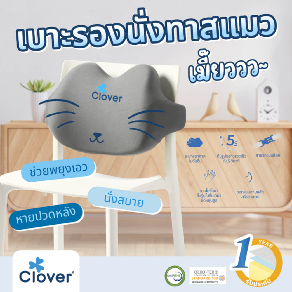 เบาะรองหลัง CLOVER C-EGB272