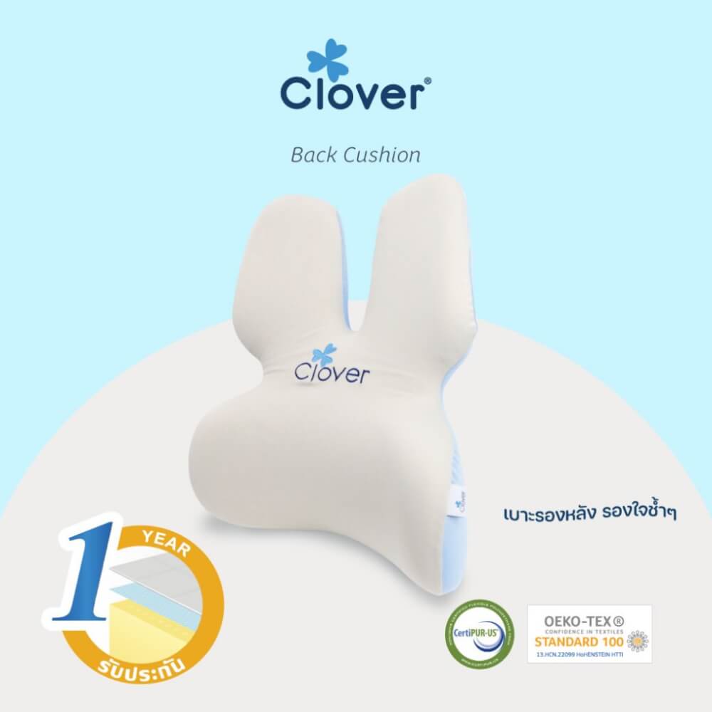 เบาะรองหลัง CLOVER C-EGB273