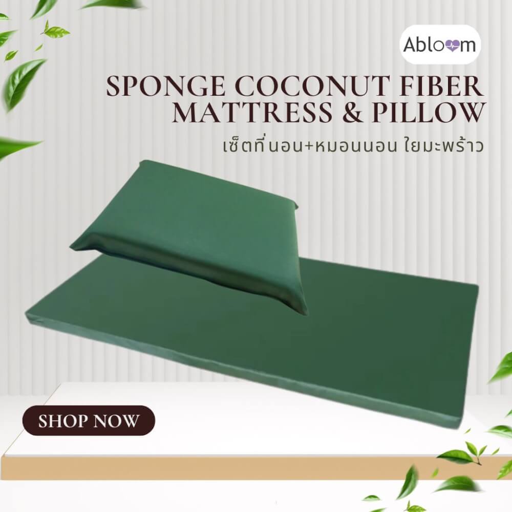 เซ็ตที่นอนและหมอน ใยมะพร้าว ABLOOM 0040085008010