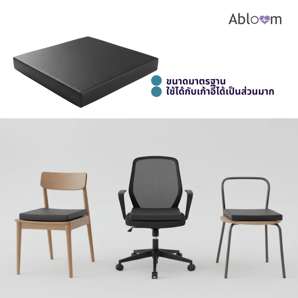 เบาะรองนั่ง ABLOOM 0190075004017 ขนาด 40&times;40&times;5 ซม. สีดำ