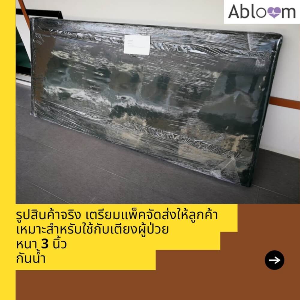 ที่นอนและหมอน หุ้มหนังเทียม ABLOOM_เซ็ต 3 ชิ้น