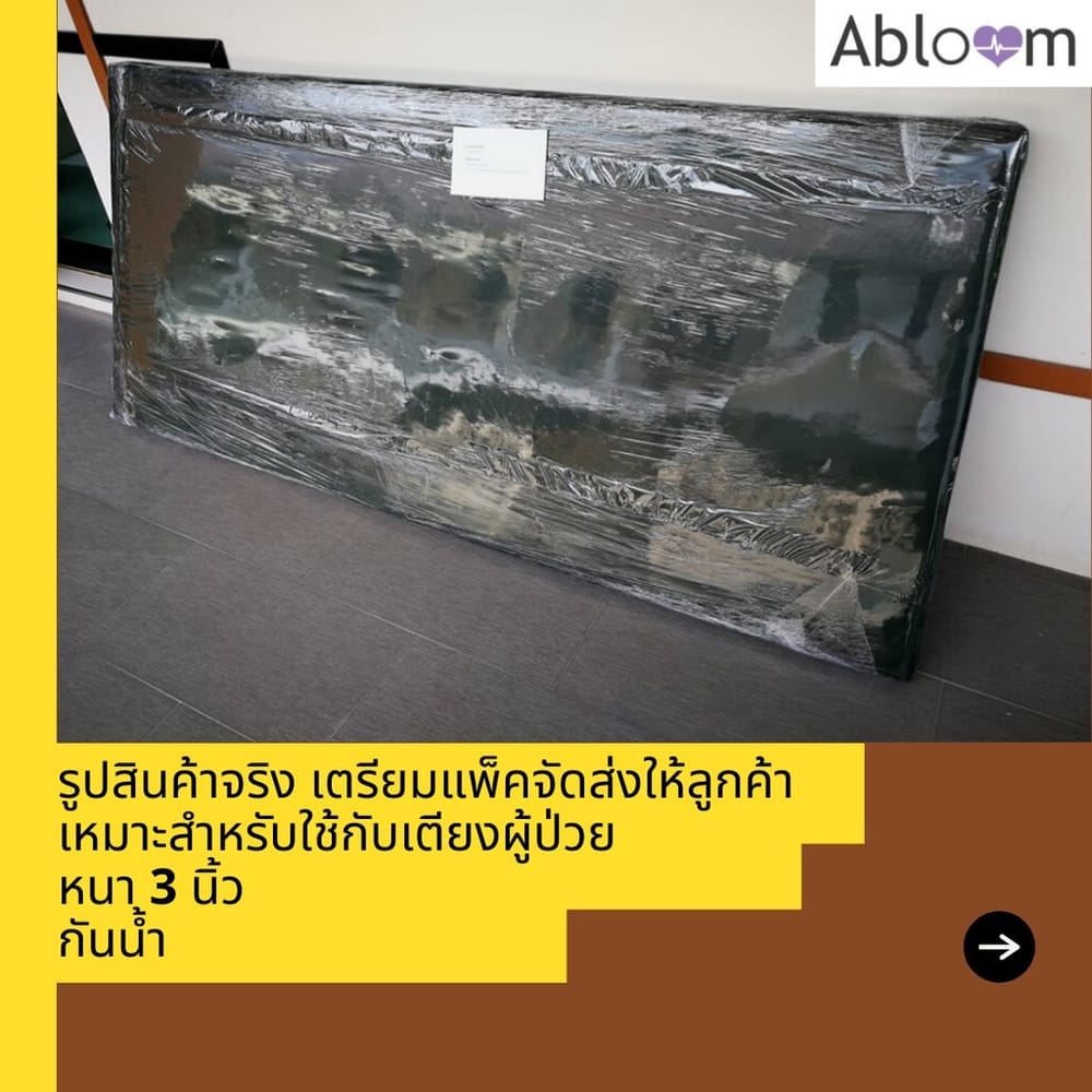 เซ็ตที่นอนและหมอน ใยมะพร้าว ABLOOM 0040085008010