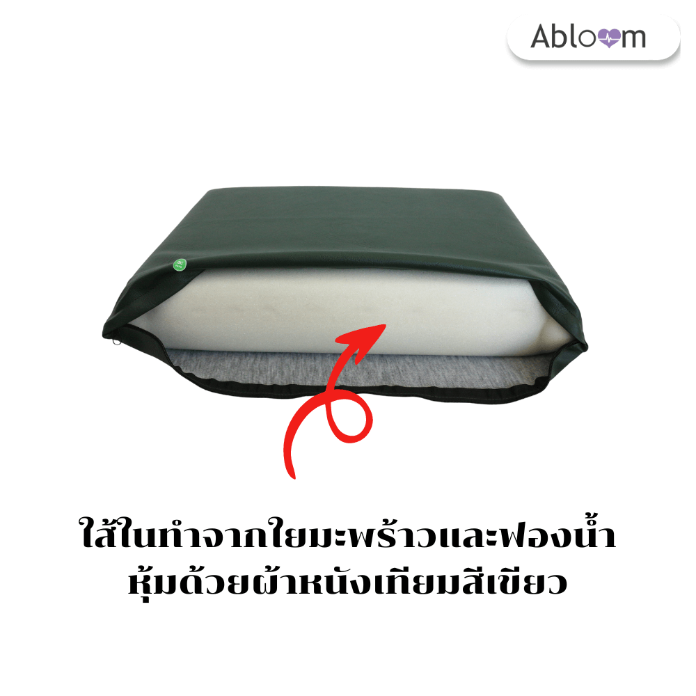 หมอนนอน ใยมะพร้าว หุ้มหนังเทียม ABLOOM 0080037001010