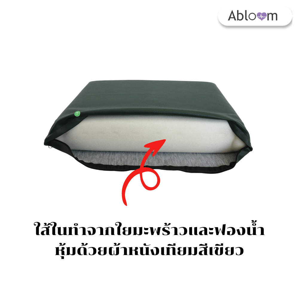 เซ็ตที่นอนและหมอน ใยมะพร้าว ABLOOM 0040085008010