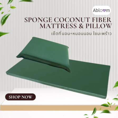 เซ็ตที่นอนและหมอน ใยมะพร้าว ABLOOM 0040085008010_1