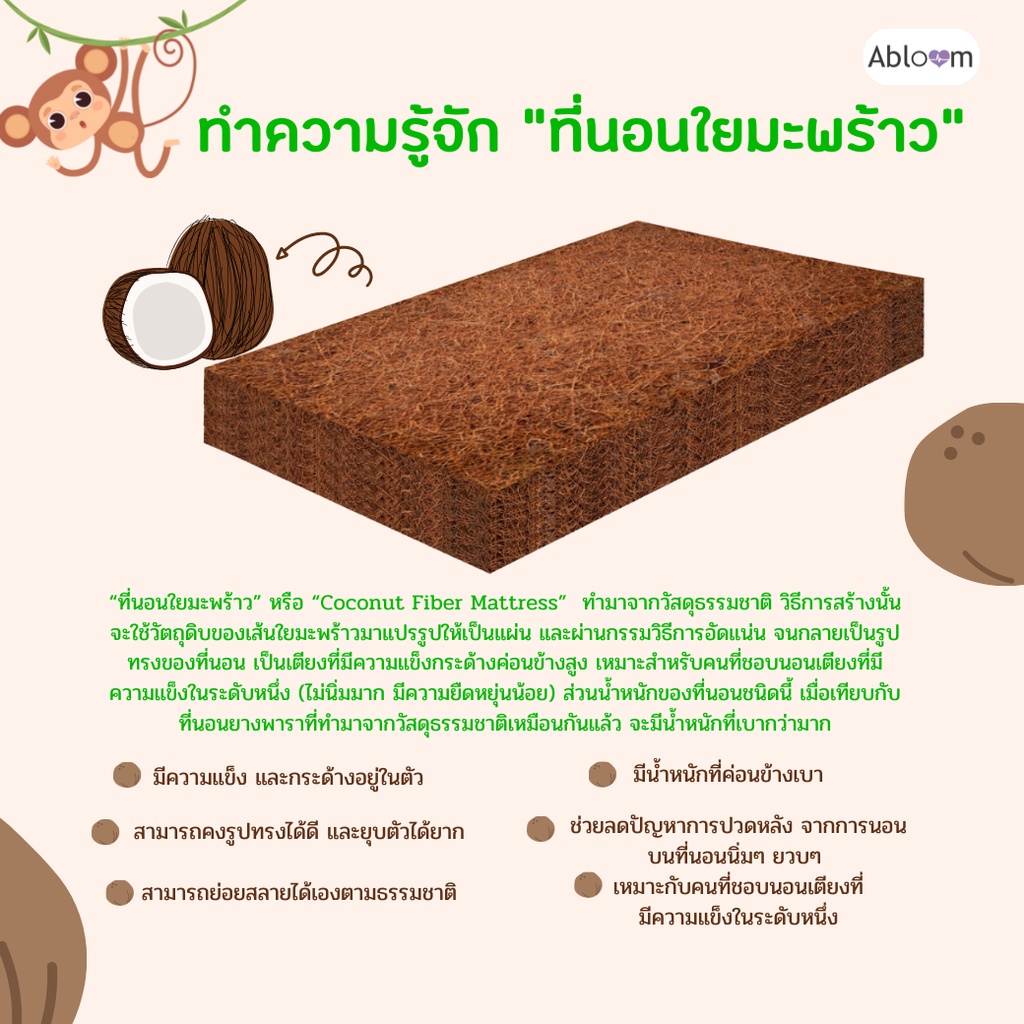 ที่นอนใยมะพร้าว ขนาด 3 ฟุต ABLOOM 0040085008010_3 นิ้ว_2